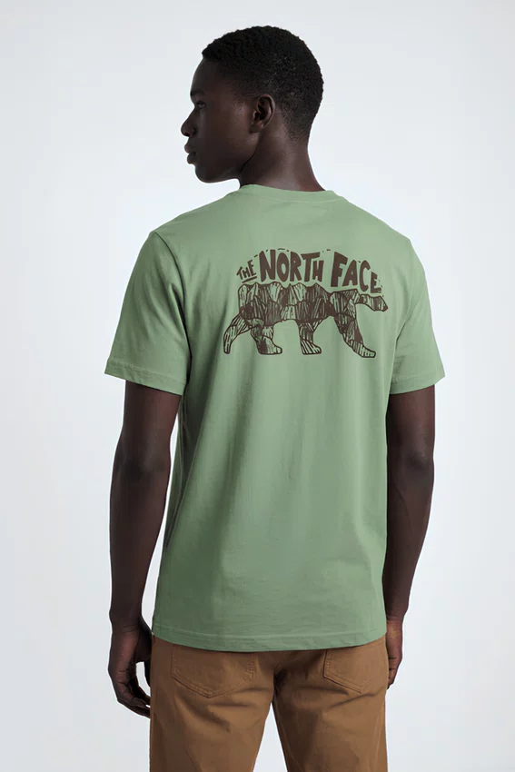 Camiseta The North Face Evolution TNF Bear Tee Bark Mist