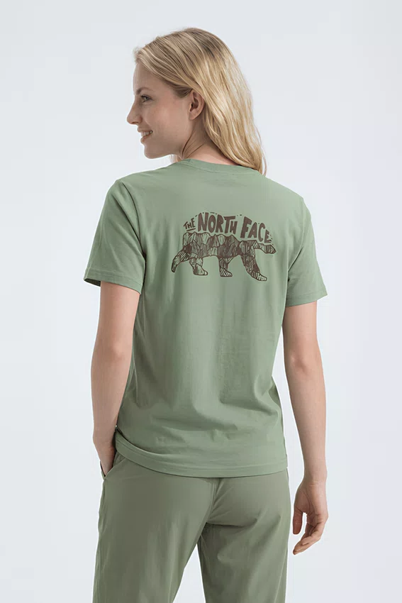 Camiseta The North Face Evolution TNF Bear Tee Bark Mist