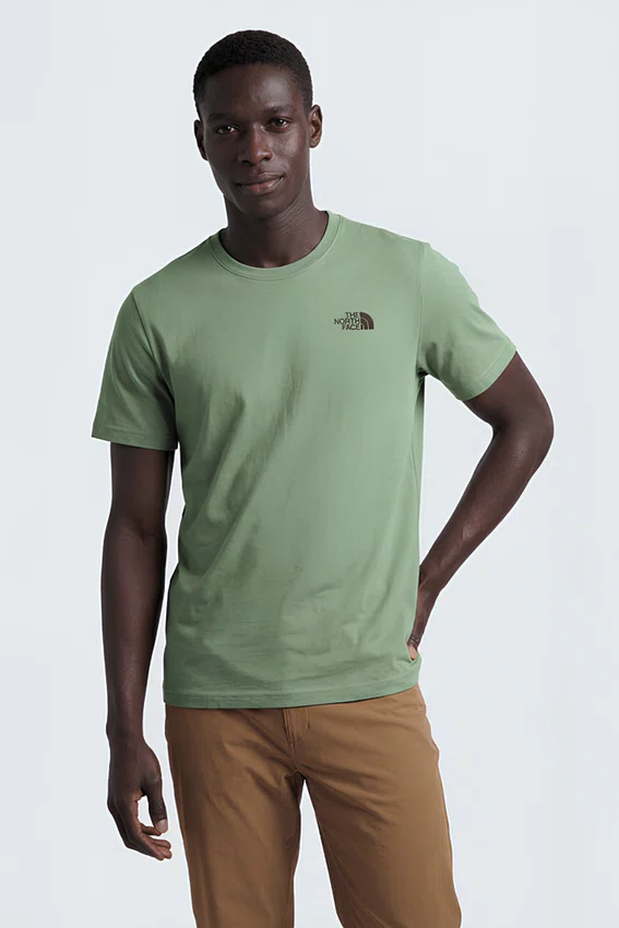 Camiseta The North Face Evolution TNF Bear Tee Bark Mist