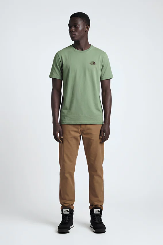 Camiseta The North Face Evolution TNF Bear Tee Bark Mist