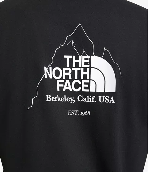 Camiseta Biner Graphic 4 Tee The North Face Preta
