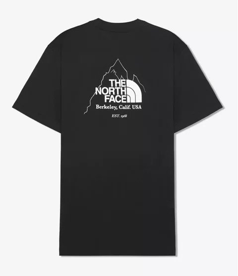 Camiseta Biner Graphic 4 Tee The North Face Preta
