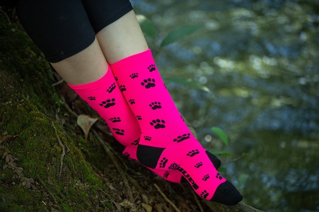 Meia HUPI Love Pets Rosa - LT para pés menores 34-38