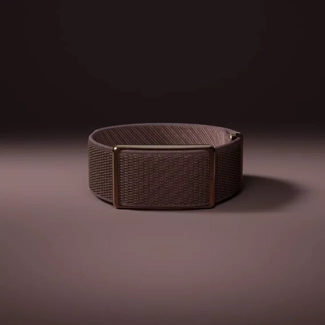 Pulseira Polar Loop Monitor de Atividade Marrom