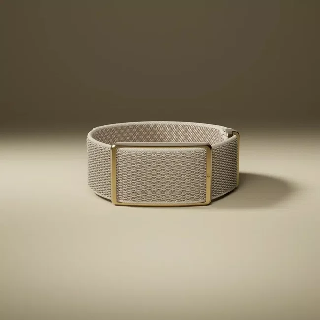 Pulseira Polar Loop Monitor de Atividade Cinza