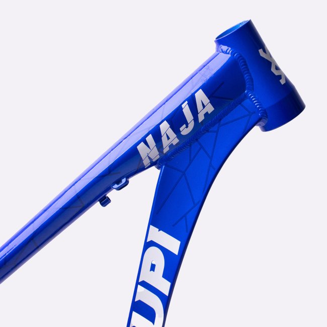 Quadro HUPI Naja V9 Azul Horizontal