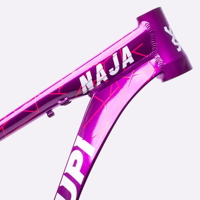 Quadro HUPI Naja V9 Roxo Horizontal