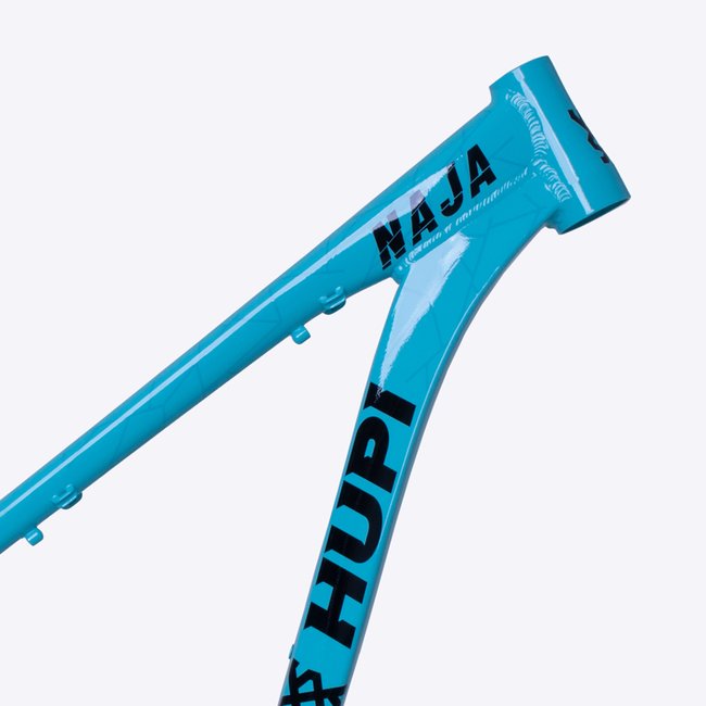Quadro HUPI Naja V9 Verde Claro Horizontal