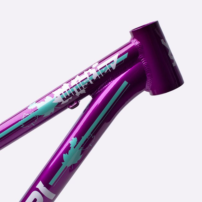 Quadro HUPI Whistler V6 Roxo Horizontal