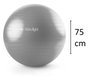 Bola de Exercícios Hidrolight Pilates Fisioterapia 75cm Cinza