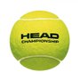 Bola HEAD de Tênis Championship Tubo 3 Unidades