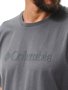 Camiseta Columbia Basic Logo II Branded Cinza Masculino
