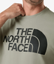 Camiseta Masculina The North Face Half Dome Tee Cinza