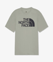 Camiseta Masculina The North Face Half Dome Tee Cinza