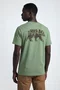Camiseta The North Face Evolution TNF Bear Tee Bark Mist
