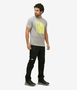 Camiseta The North Face Unissex Jumbo Half Dome Tee Cinza