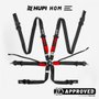 Cinto de 6 Pontos HUPI Racing HOM Preto