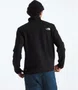 Fleece The North Face Cedar Trail Masculino Preto