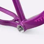 Quadro HUPI Naja V10 Roxo e Rosa Gancheira Horizontal