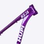 Quadro HUPI Naja V9 Roxo Horizontal